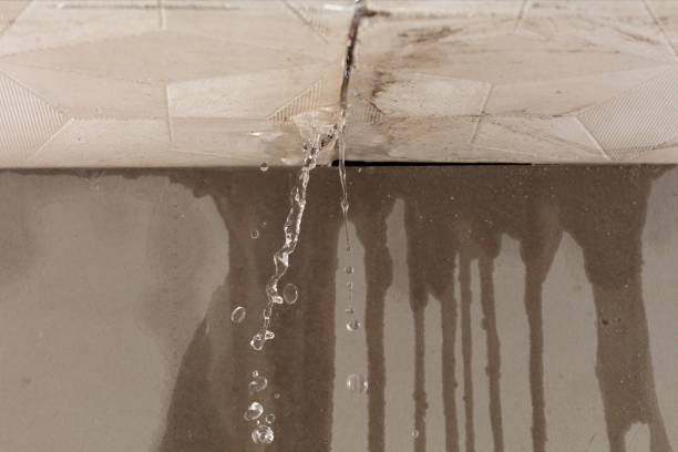 Professional Water Damage Inspection technician working in Florence, TX